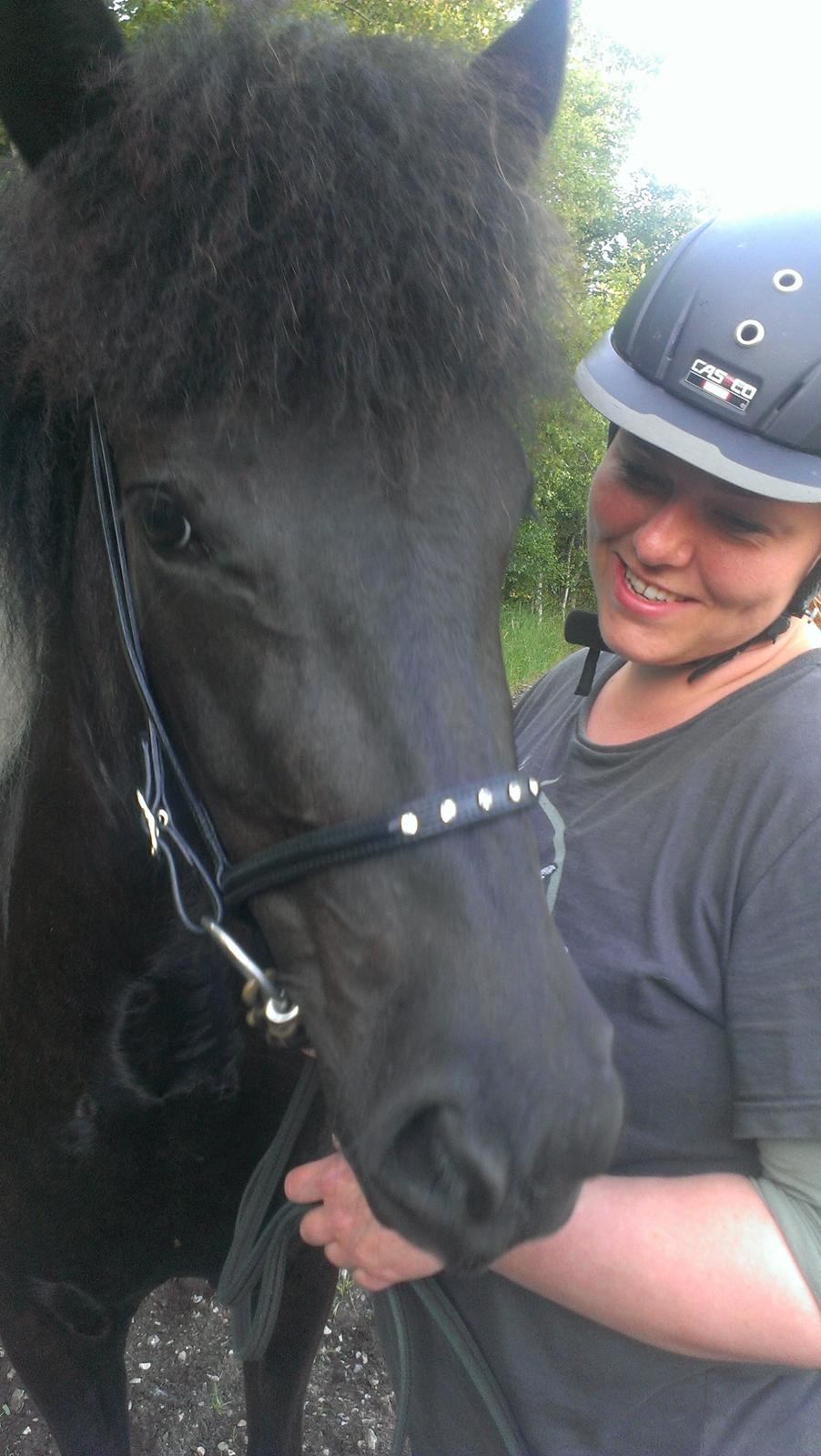 Islænder Geysa fra Grønnestrand - Efter 1. ridetur billede 13