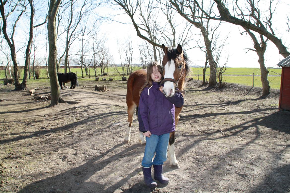 Anden særlig race Scooby doo billede 3