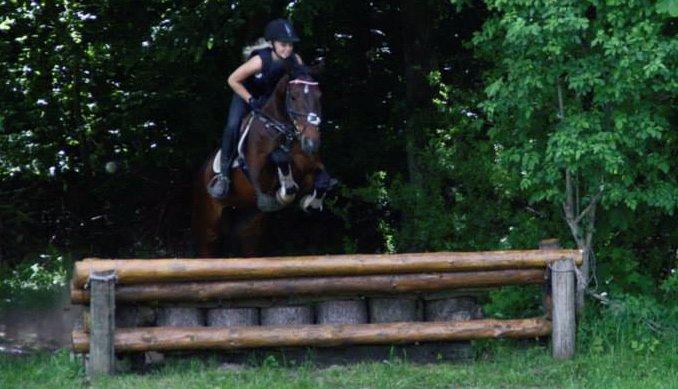 Dansk Varmblod Lillelunds Manja - Terræn træning juni 2013 billede 17