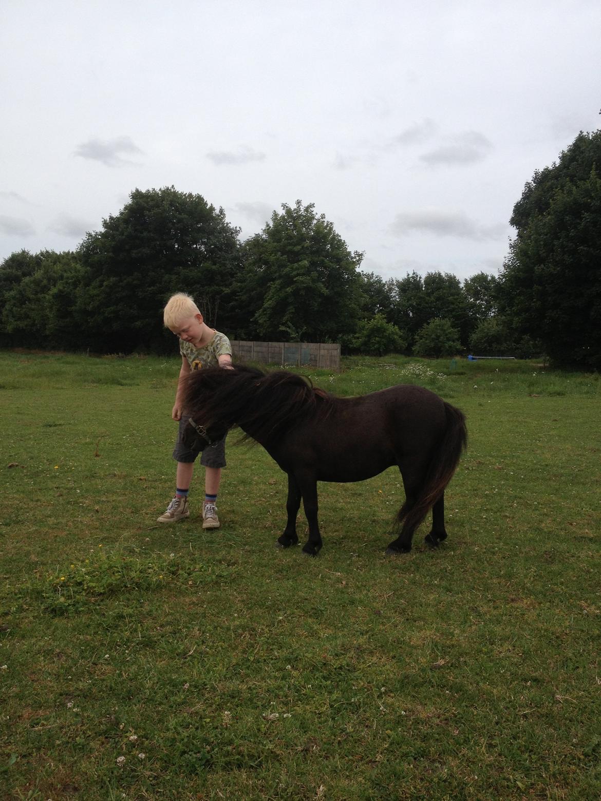 Miniature Lonso (solgt) billede 12