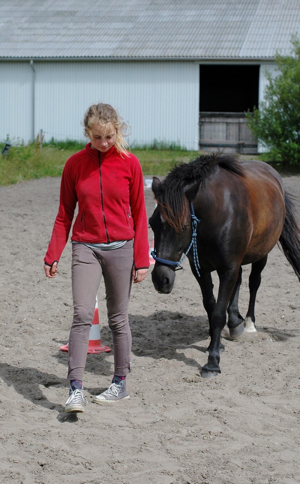 Anden særlig race Julle billede 10