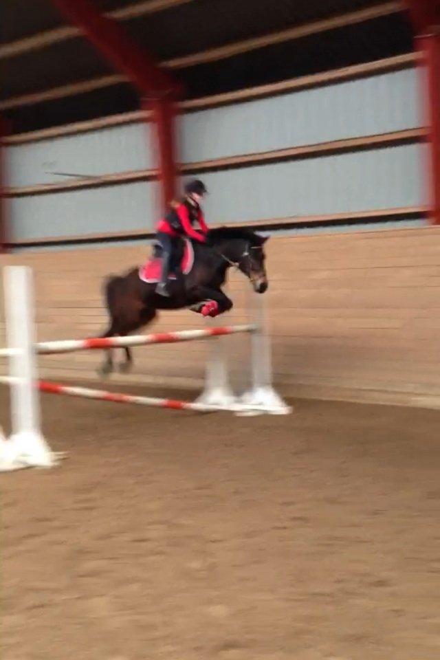 DSP Coco, du vil altid være i mit hjerte <3 billede 3