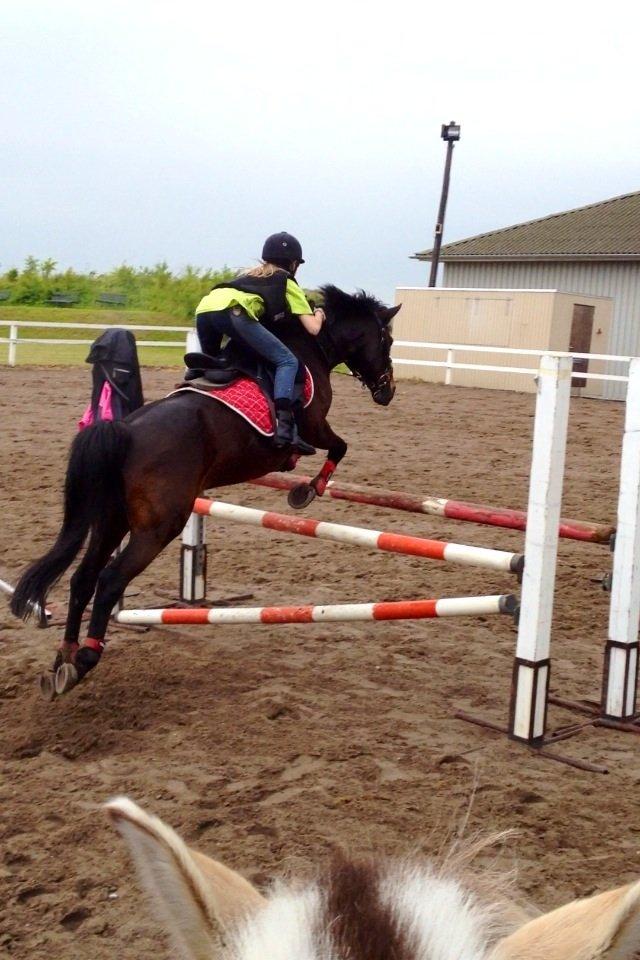 DSP Coco, du vil altid være i mit hjerte <3 billede 10