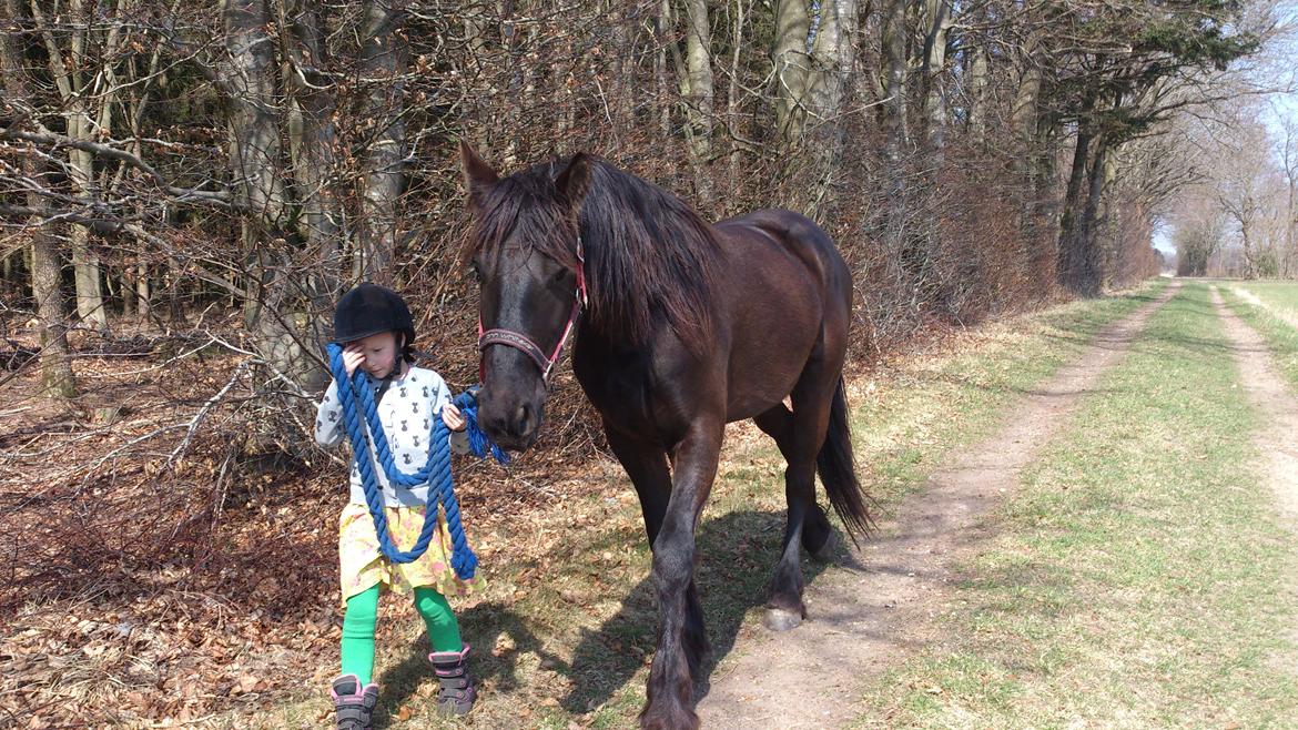 Frieser Temmy billede 24