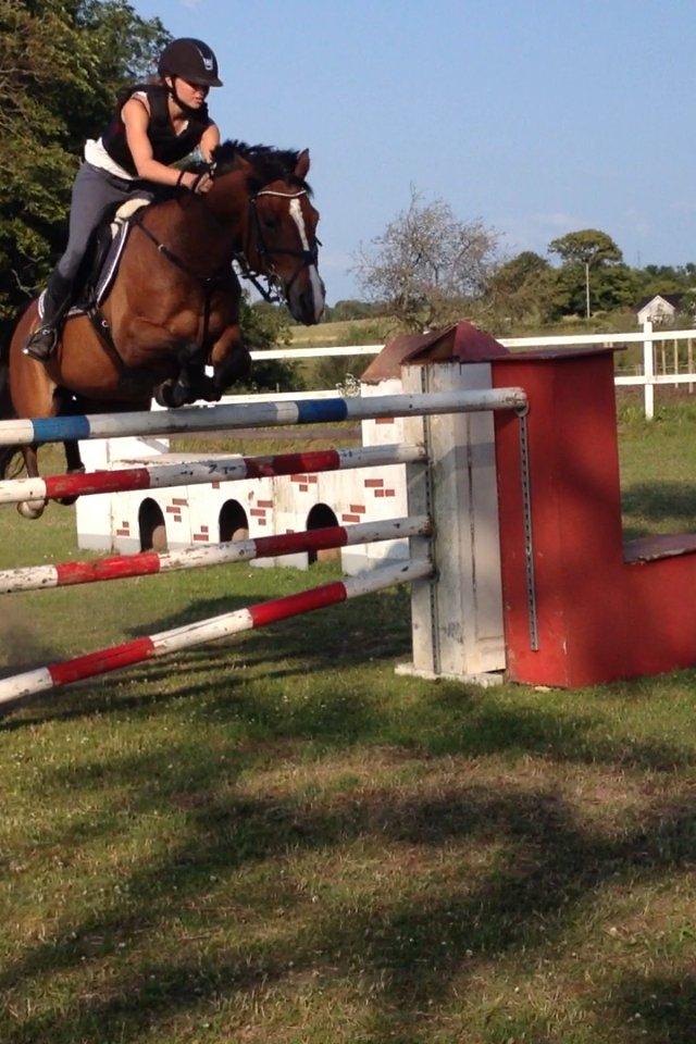 DSP Pikant V. - A pony - 160, sejeste pony<3 billede 10