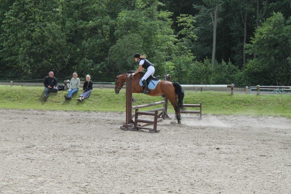 Anden særlig race Pinocchio - Springstævne 75-80 cm, 2. plads billede 16