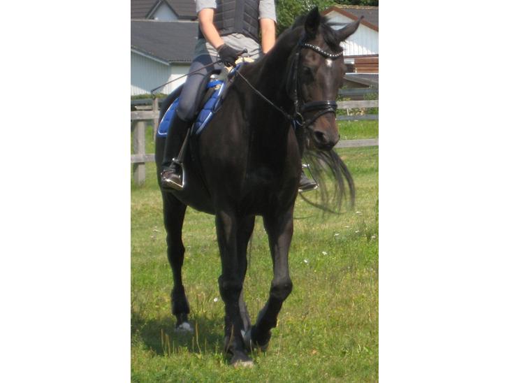 {{currentPhoto.altText}} billede {{currentPhoto.number}}