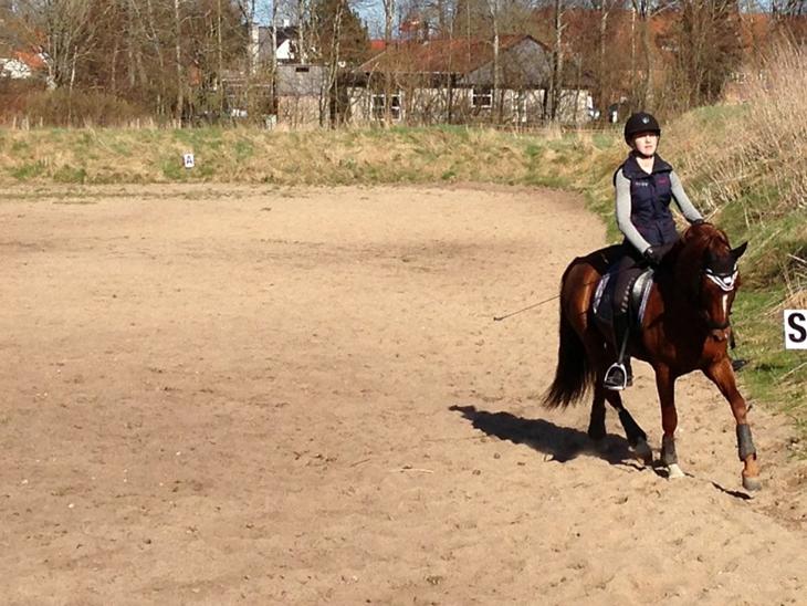 {{currentPhoto.altText}} billede {{currentPhoto.number}}