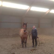 Anden særlig race Naja