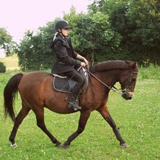 Anden særlig race Dick Tressey