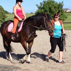 Anden særlig race sakira