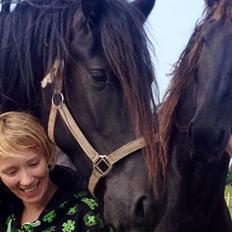 Frieser hasse krongaard