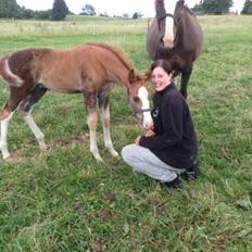 Anden særlig race Vandløbsgaardens Chili-Shakealot