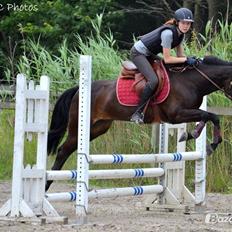 New Forest Løgtholt´s Bastian <3 
