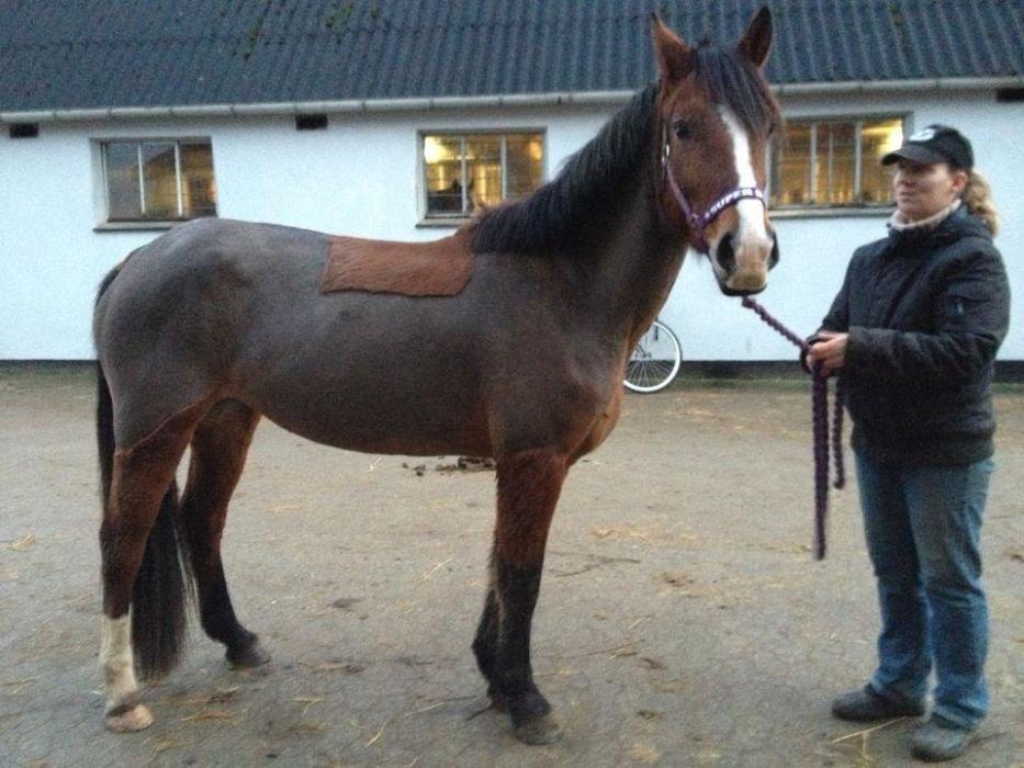 Anden særlig race Cassiopeia - Cassie imens hun bliver fedet op, efter jeg lige har fået hende <3 billede 11