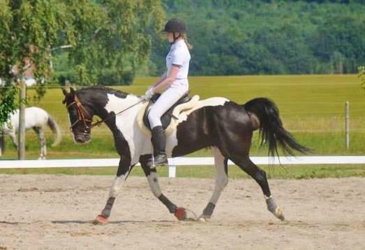 Barockpinto Jake - Jake og Jeg til dressurstævne fredag d. 12 Juli, vi fik en 1 plads i LC1'en med 60,83% <3 billede 6