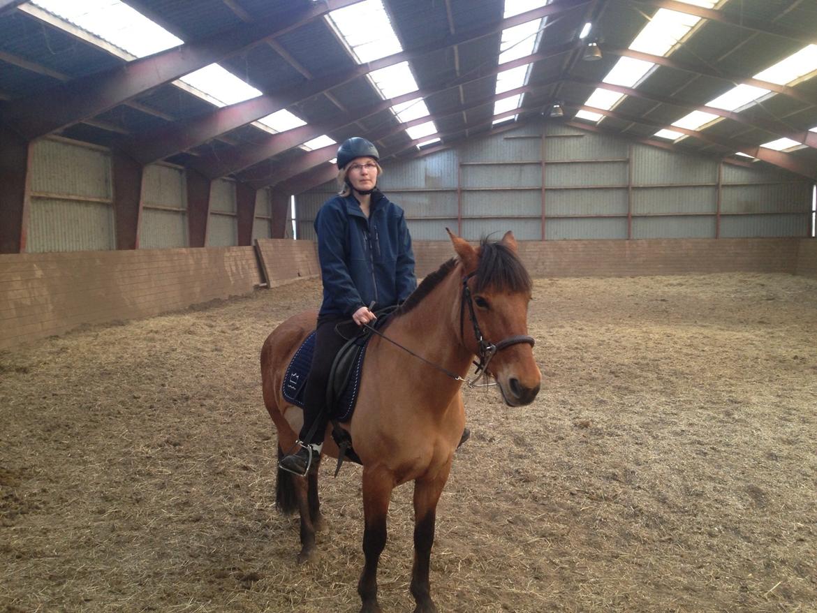 Anden særlig race Naja billede 7