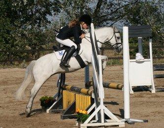 Welsh Mountain (sec A) Edelweis Rex SOLGT billede 20