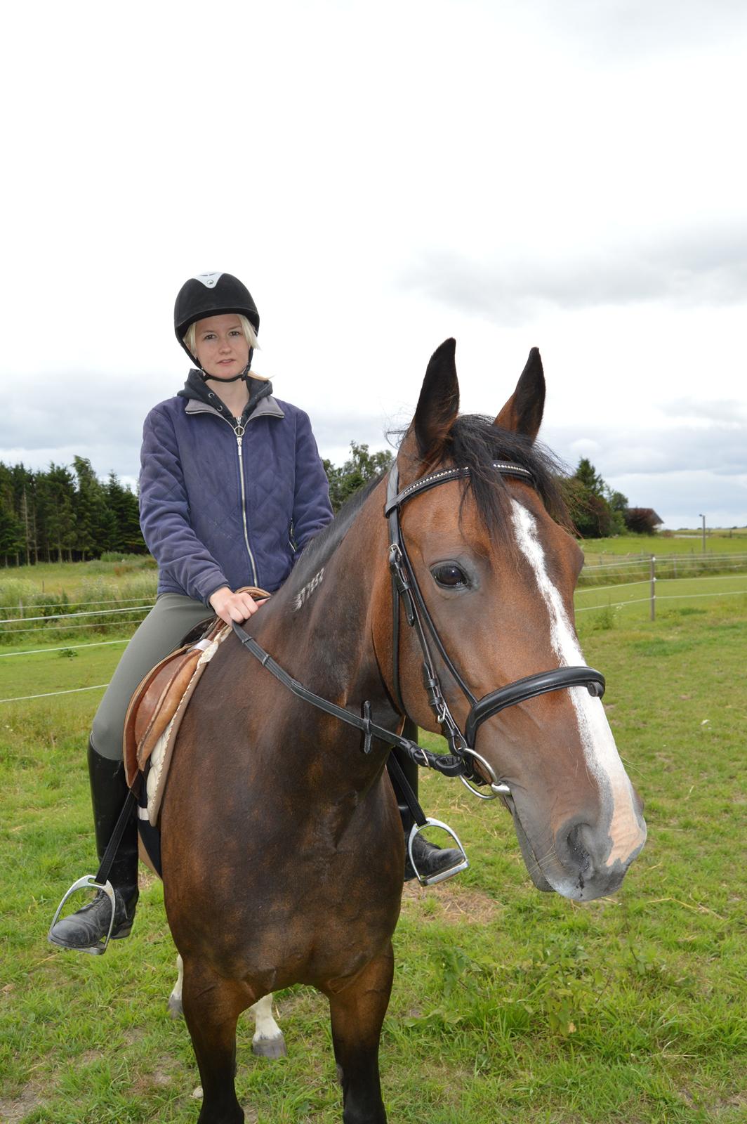 Traver Preppy Lavec billede 6