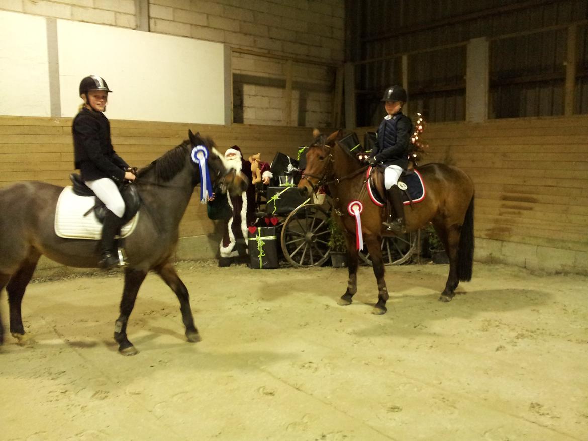 Tysk Sportspony Buglies Star - Da Lærke og jeg vandt i Fredericia. Det var en hyggelig dag! :) billede 10