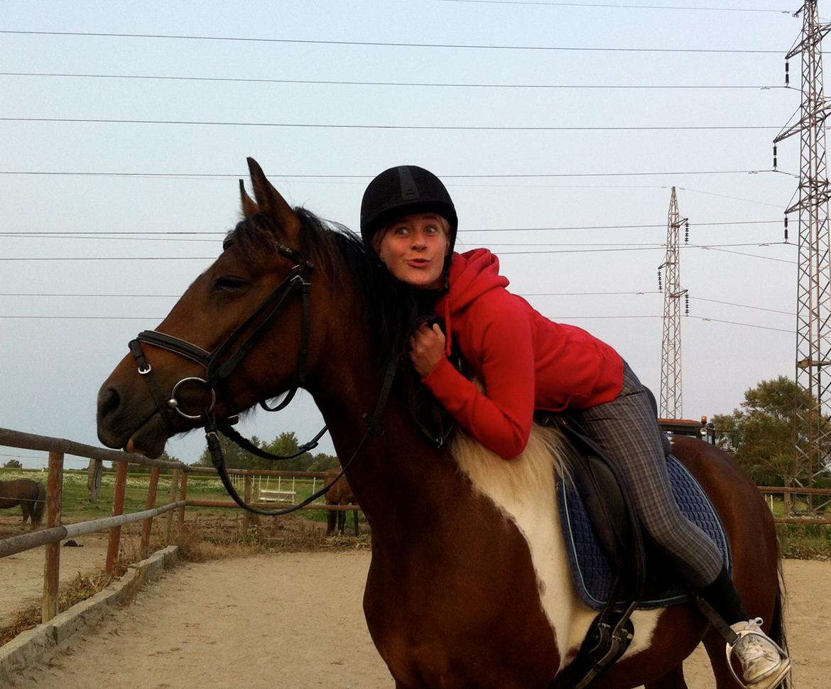 Anden særlig race Ameysing <3 billede 16