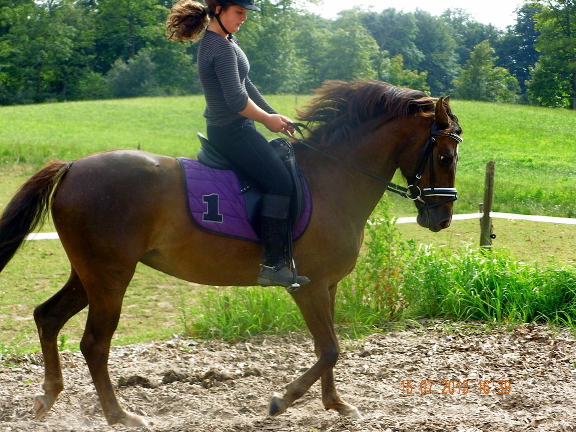 Anden særlig race Marielunds Faiht!<3 My Soulmate!<3 - Du er noget helt specielt og jeg elsker dig! Det har taget 1 år for os at komme så langt som vi er, men jeg bare super stolt af dig!  billede 5