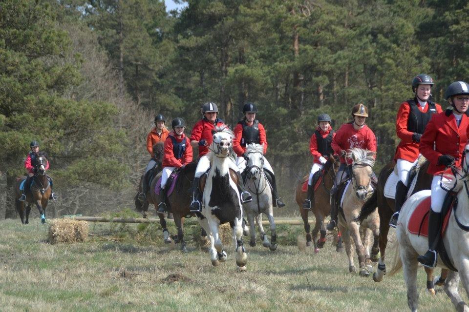 Tinker Tinka - Tykke :'D<3 - HAHAHAH! Omg et billede! Så lækker en hest er aldrig set før! SÅ HOT..
Jagt sds Maj 2013.. 
Foto: ...? billede 8