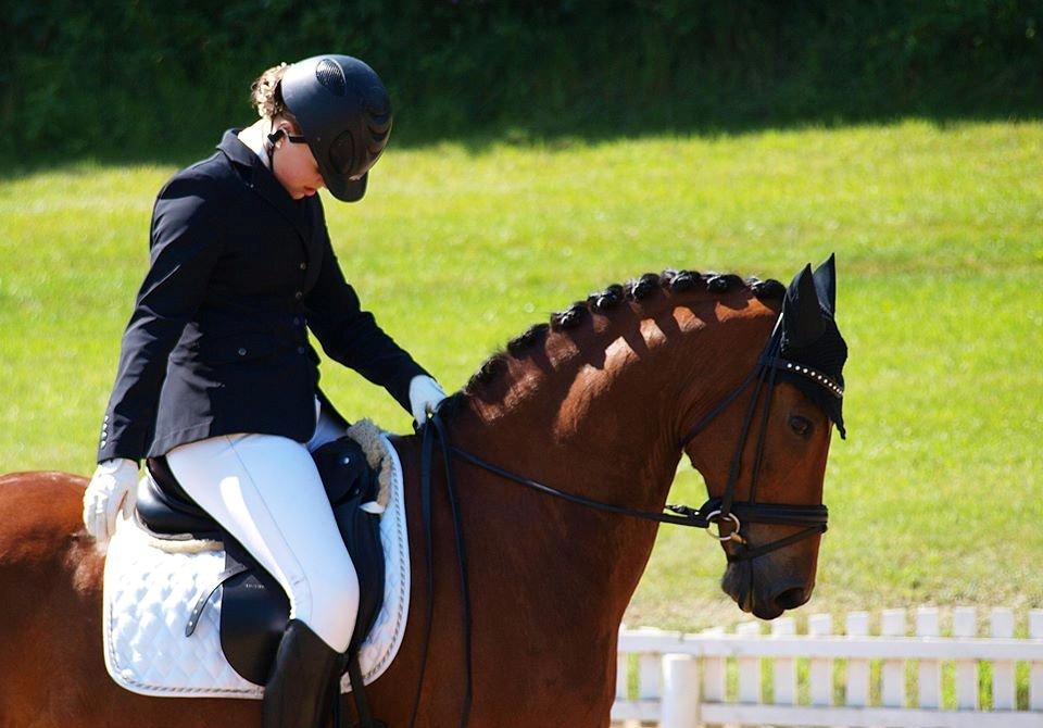 Anden særlig race Bram B-Pony billede 5