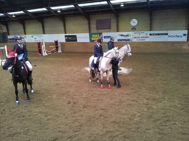 Palomino Fyrstenborgs Golden Hero - Præmieoverækelse i IRK   billede 13