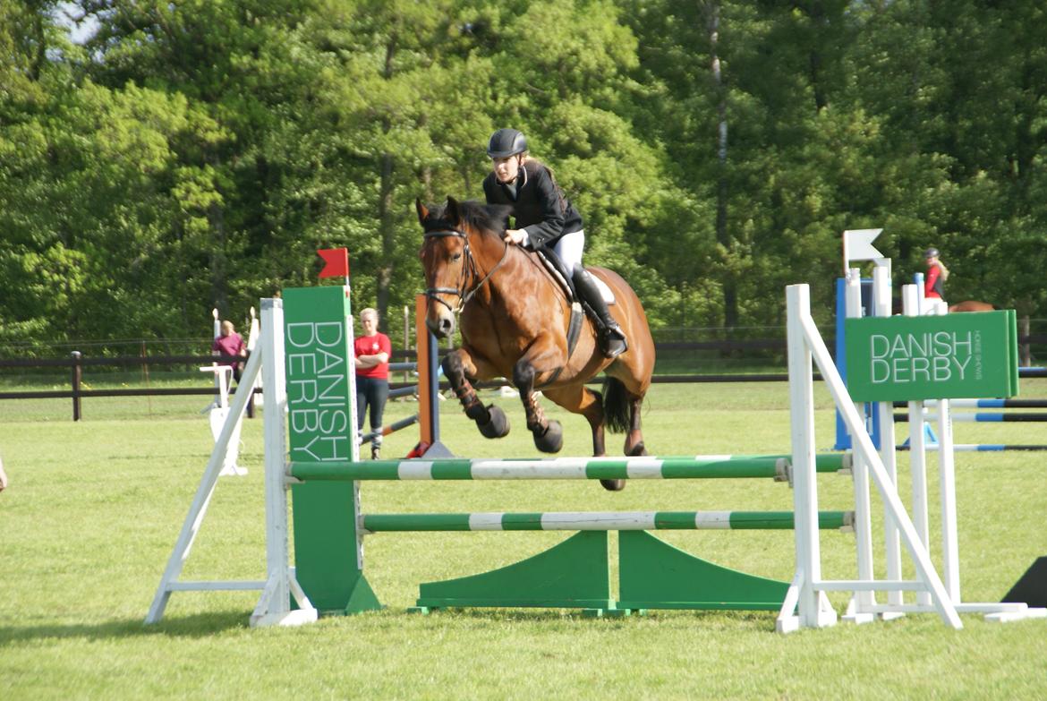 Anden særlig race Jack Bauer billede 18