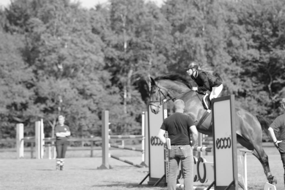 Anden særlig race Jack Bauer billede 19