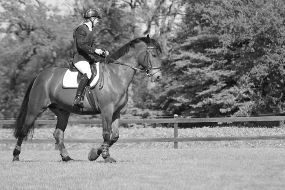 Anden særlig race Jack Bauer billede 11