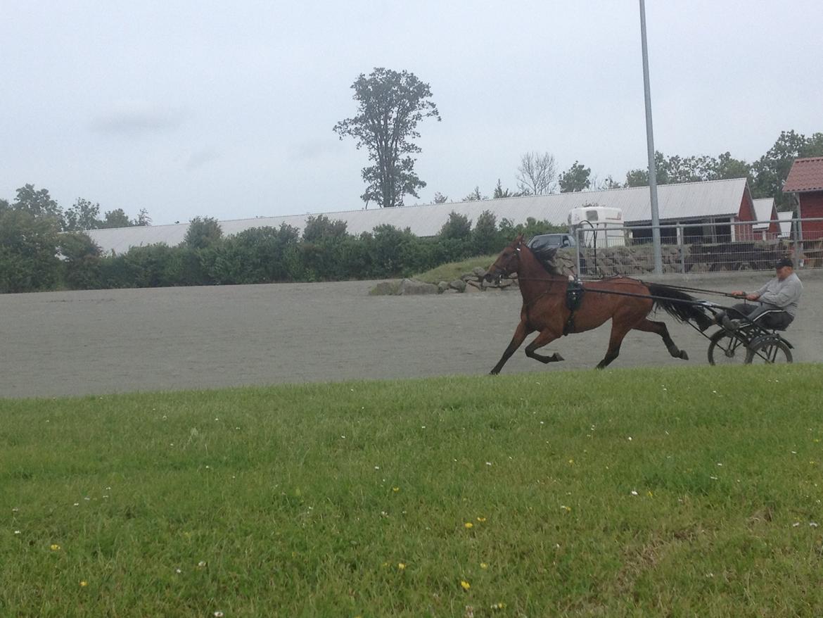 Traver O. Jensen billede 4