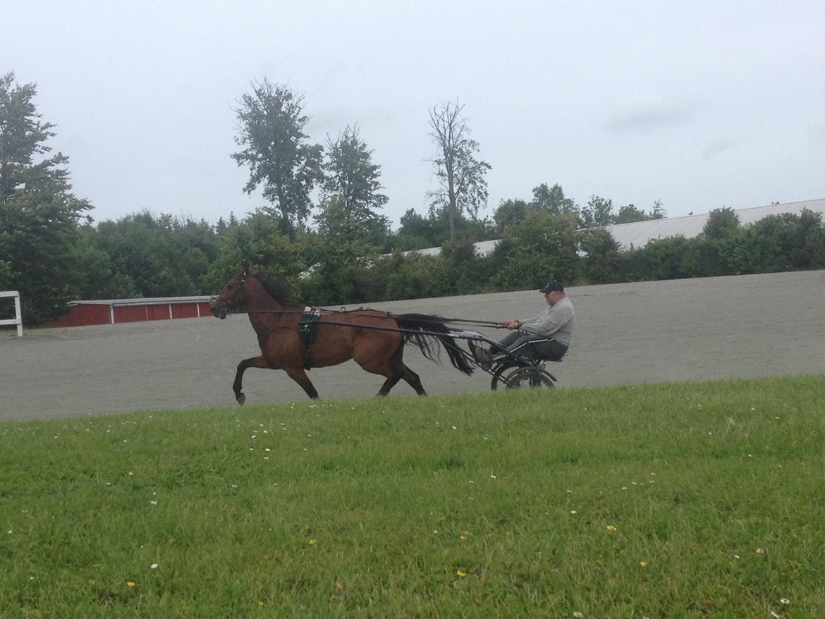 Traver O. Jensen billede 7