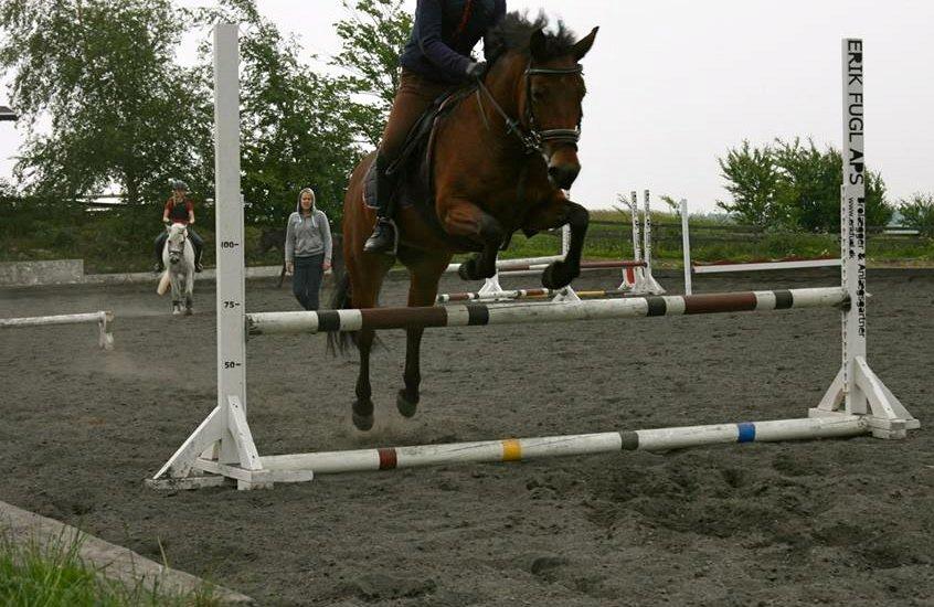 Anden særlig race Minnie - so unicorn....
-taget af Astrid Dittmer<3 billede 7