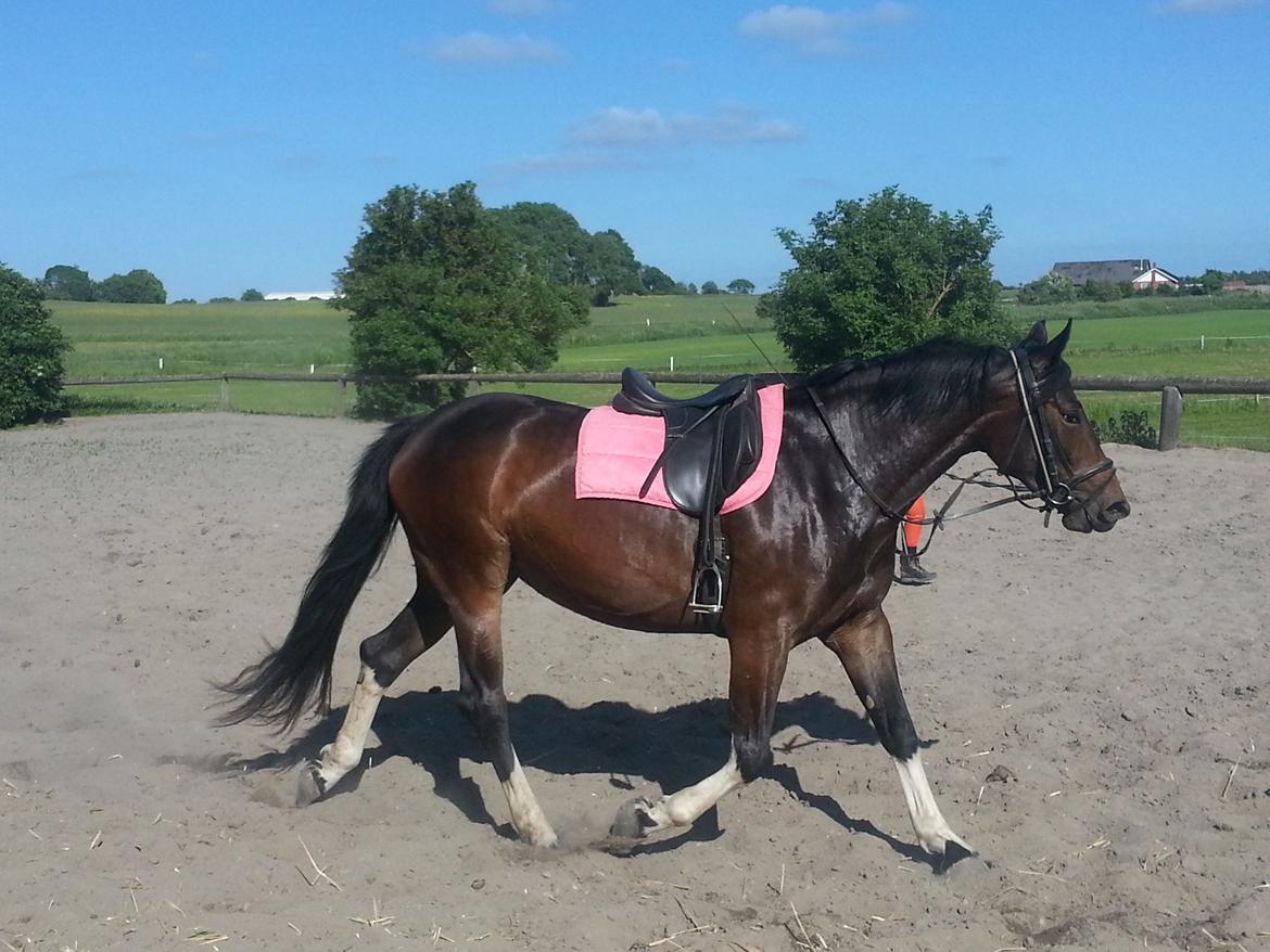 Anden særlig race sakira billede 5