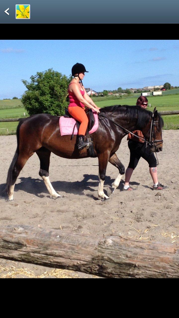 Anden særlig race sakira billede 8