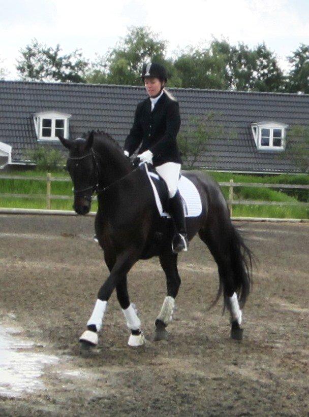 Dansk Varmblod Feodora Khan - LD2 til 67 % i Strøby rideklub den 16. juni 2013. billede 18