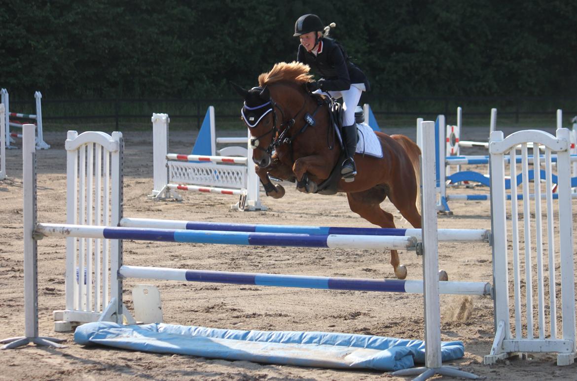 Tysk Sportspony Drambuie 9 *B-Pony* - Louise & Drambuie i LA** Distriktsmesterskab som de vandt med 3 nulrunder! :) D. 7/7-13. Foto: Mig billede 6