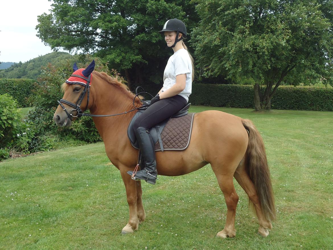 Anden særlig race Rosa - Rosa<3 billede 13