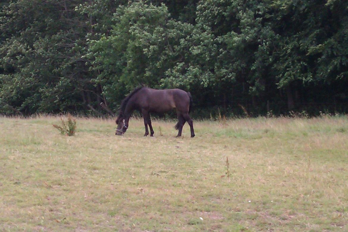 Anden særlig race Magic Malou <3<3 billede 11