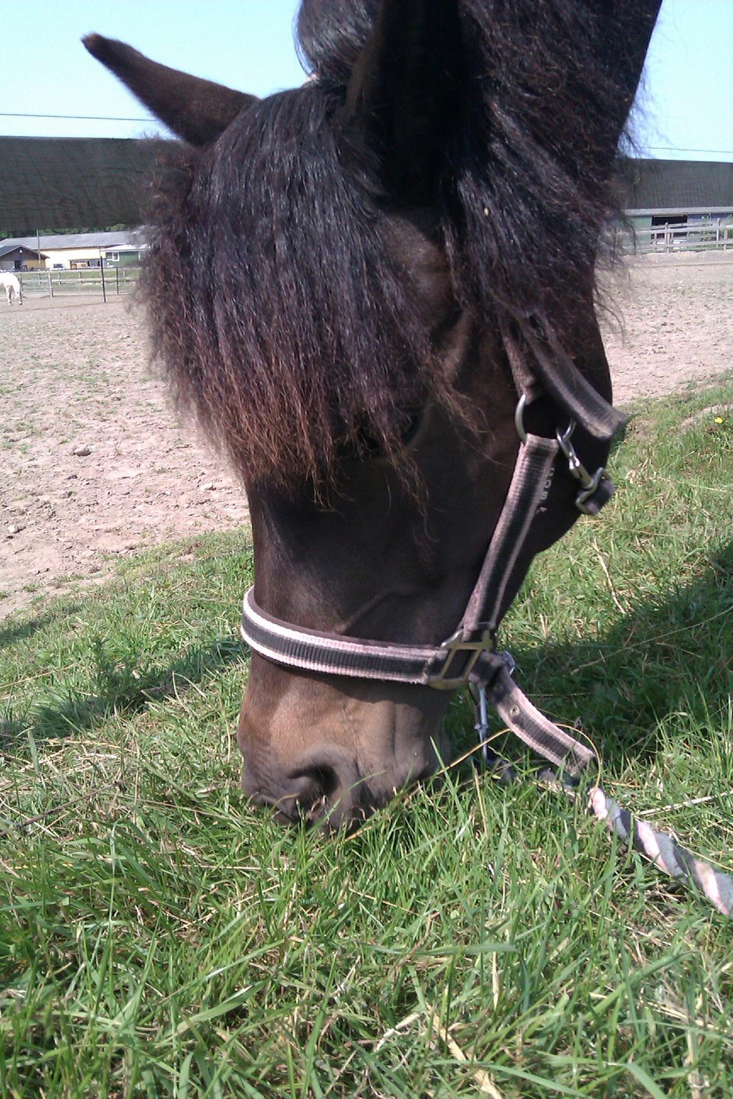 Anden særlig race Magic Malou <3<3 billede 4