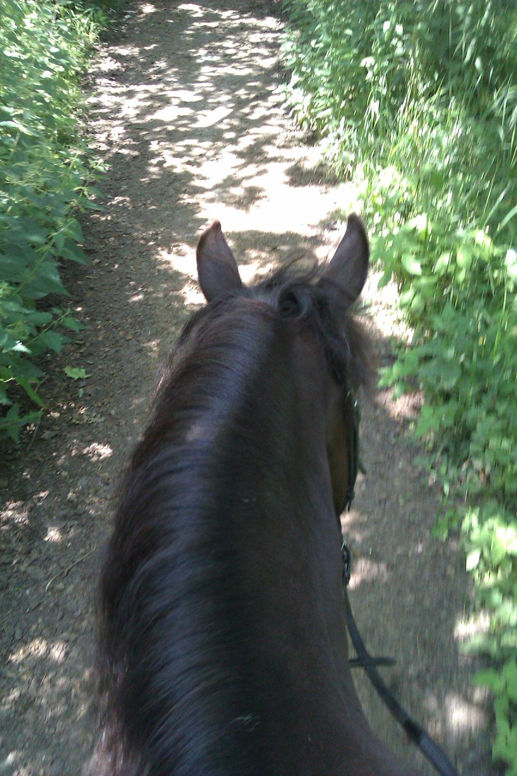 Anden særlig race Magic Malou <3<3 billede 8