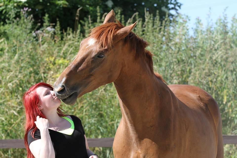 Fuldblod (XX) Golani Magen - Mig og Golani. Taget af Freja S A Foto billede 11