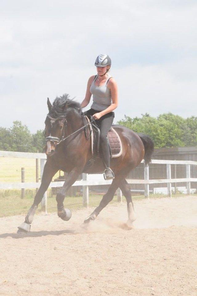 Polsk Varmblod Mikador - 2. gang i gallop her hjemme :D
 billede 7