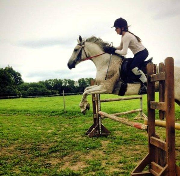 Arabisk fuldblod (OX) Jalle - iiih, hvor er det altså bare sjovt at springe :D  billede 11