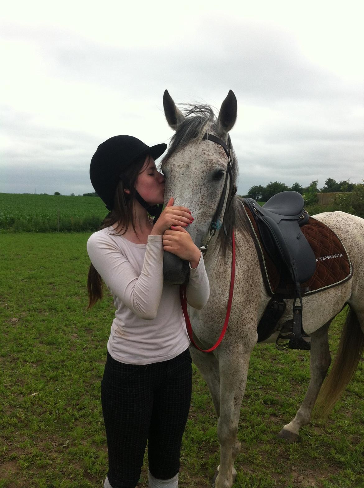 Arabisk fuldblod (OX) Jalle - jeg elsker dig basse <3 du er den bedste <33 billede 12