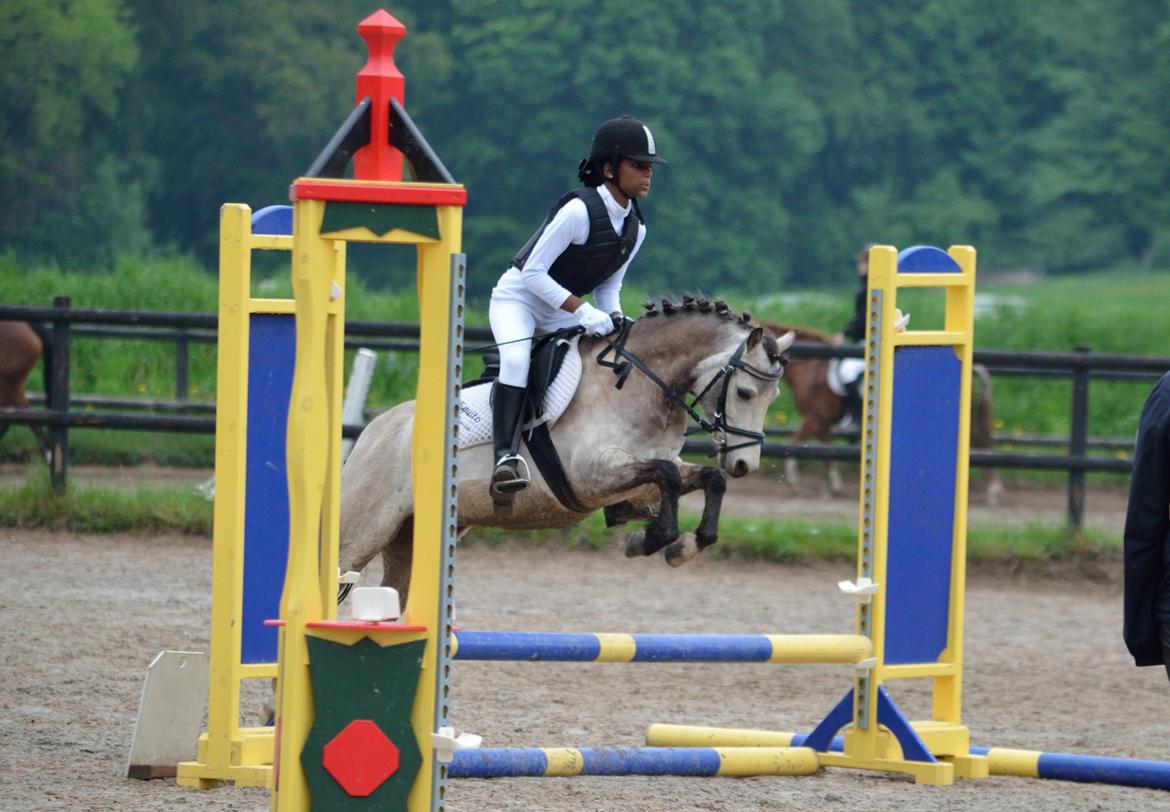 Welsh Mountain (sec A) Milkyway (min part) billede 1