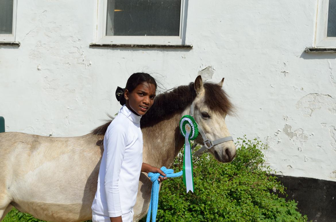 Welsh Mountain (sec A) Milkyway (min part) billede 3