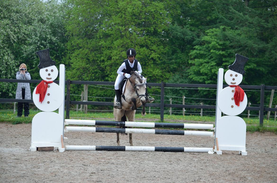 Welsh Mountain (sec A) Milkyway (min part) billede 4